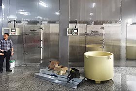 2臺日產(chǎn)10噸片冰機，湛江食品加工